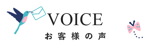 Voice